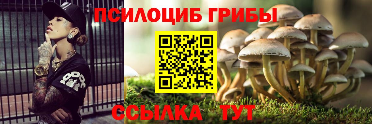 Галлюциногенные грибы Psilocybine cubensis Уфа
